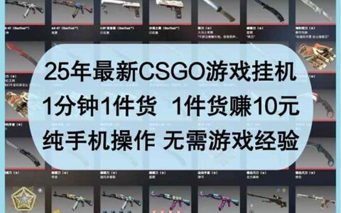 （14439期）25年最新csgo游戏挂机，1分钟1件货，1件货赚10元 纯手机操作 无需游戏经验