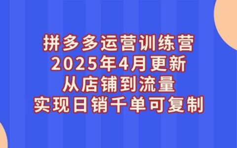 （14469期）拼多多运营训练营2025年4月更新，从店铺到流量，实现日销千单可复制