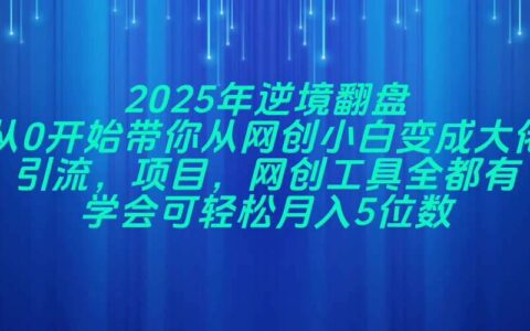 （14473期）2025年逆境翻盘，从0开始带你从网创小白变成大佬，引流，项目，网创工...