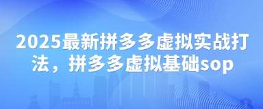 2025最新拼多多虚拟实战打法,拼多多虚拟基础sop 2025最新拼多多虚拟实战打法,拼多多虚拟基础sop