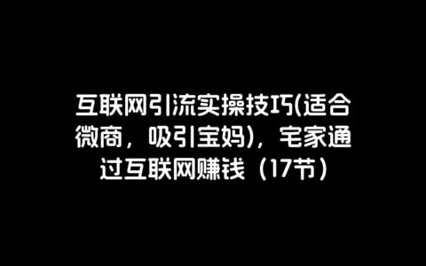 互联网引流实操技巧(适合微商，吸引宝妈)，宅家通过互联网赚钱（17节）