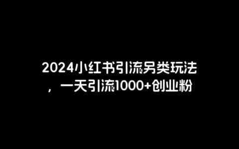 2024小红书引流另类玩法，一天引流1000 创业粉